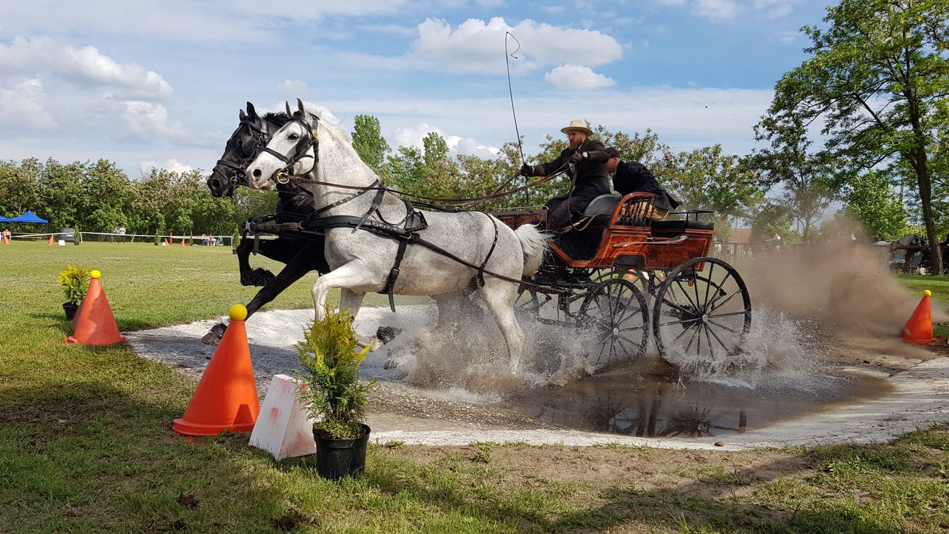 Jubilált a Kécskei Lovasnapok