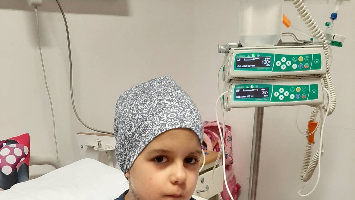 Sütinapon gyűjtenek Pankának