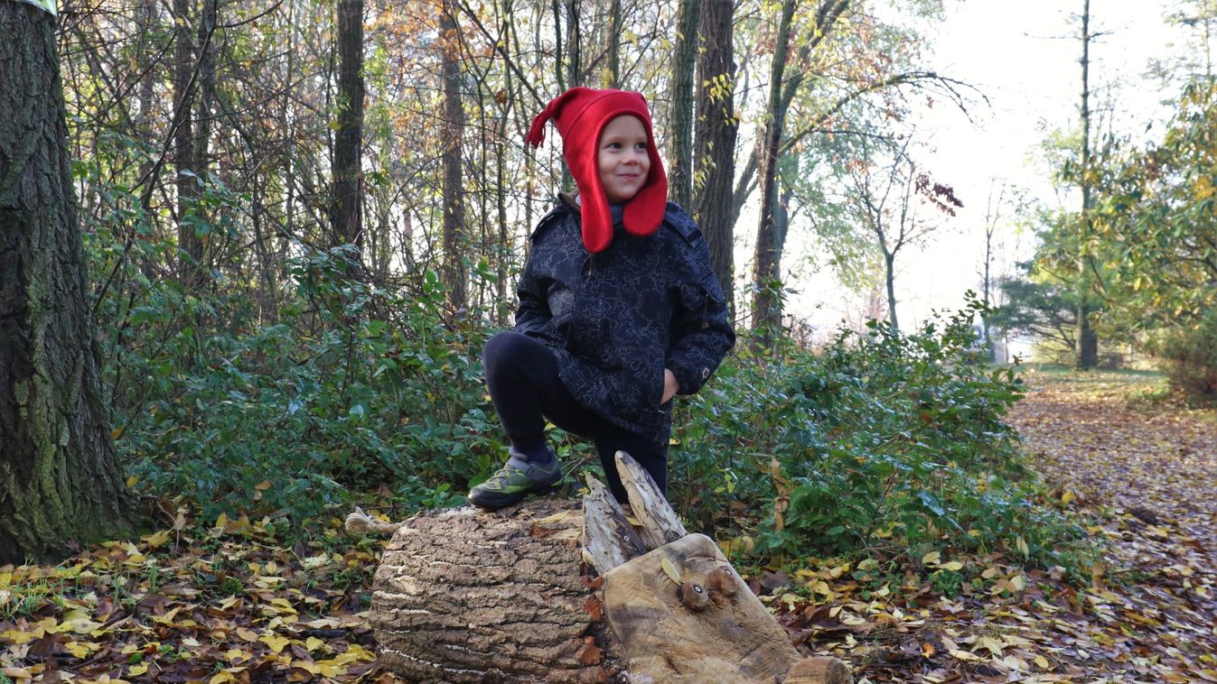 Mosolyt csalnak a Kecskeméti Arborétum látogatói arcára az állatszobrok