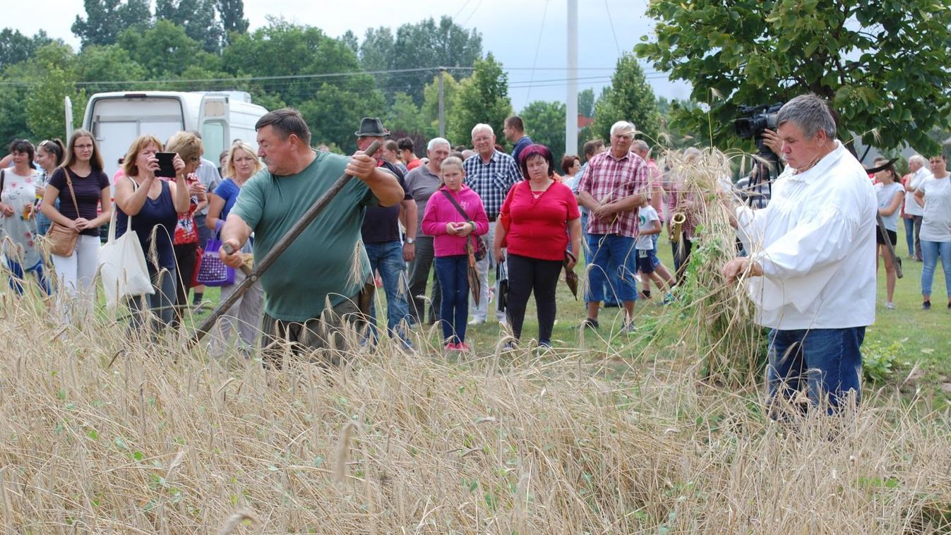 Sokan hazalátogattak Móricgátra, a hagyományőrző Aratóünnepre