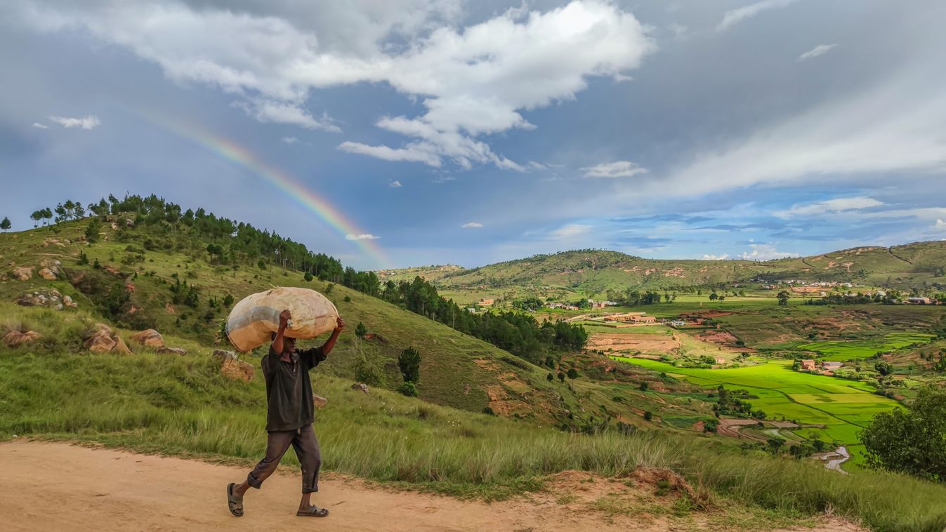 A madagaszkári erdőtelepítést segíti a bajai Halmosi Zoltán
