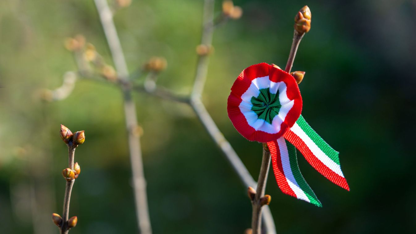 Az 1848/49-es forradalom és szabadságharc évfordulójára készülnek Kiskunfélegyházán