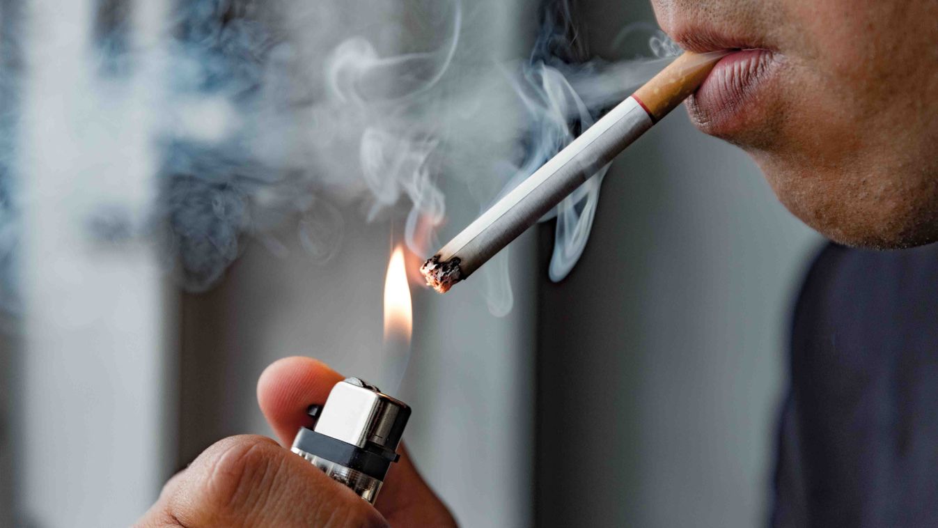 Cigarettázó fiatalok okozták a tüzet az alpári skanzenben