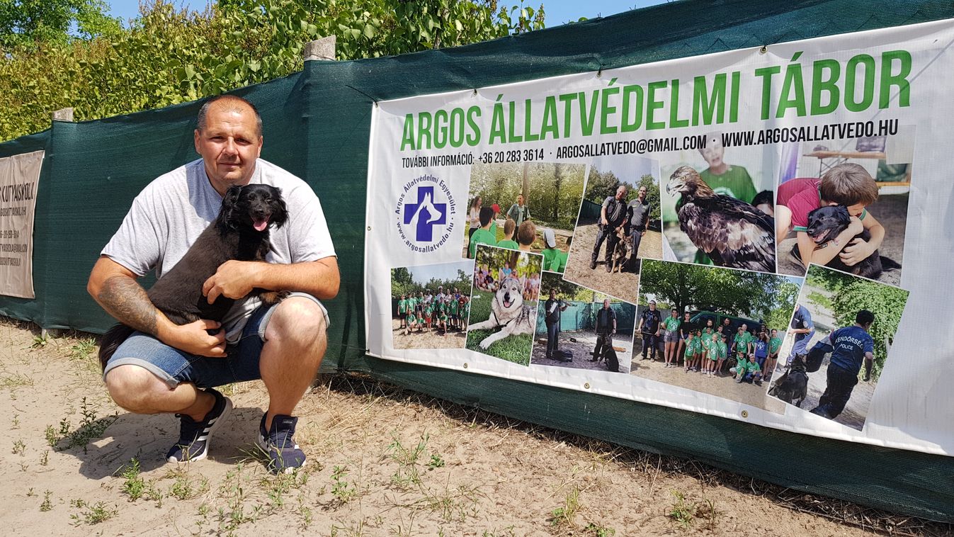 Az ivartalanított kutyák sokkal egészségesebbek a társaiknál