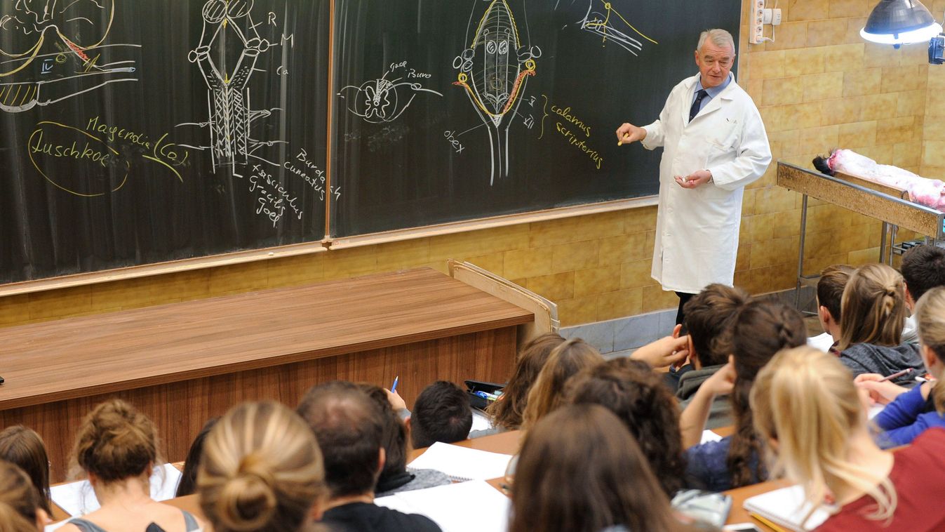 Rekordok dőltek a modellváltó Állatorvostudományi Egyetemen