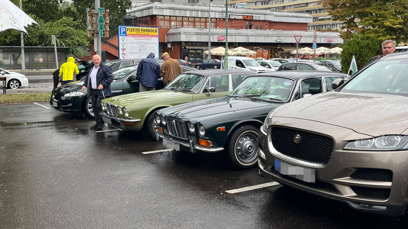 Limuzinok és sportautók is érkeztek a kecskeméti Jaguar-találkozóra