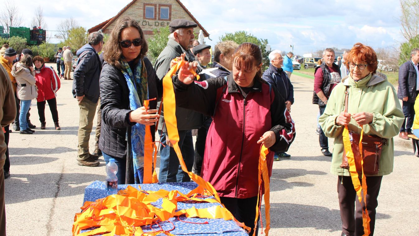 Barackfa-pántlikázást tartottak Kecskeméten – galériával