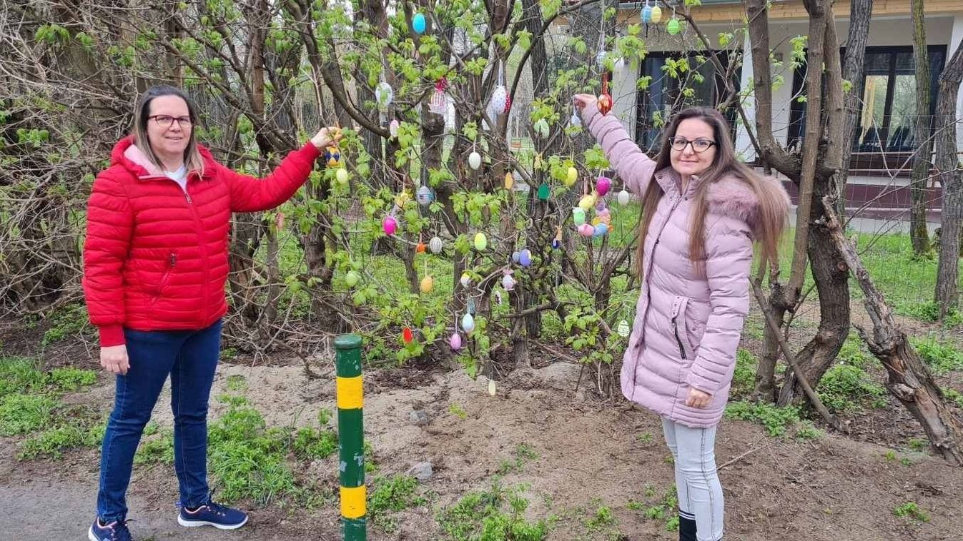 Tojásfa díszíti Kecskeméten a Hunyadivárosi Közösségi Házat