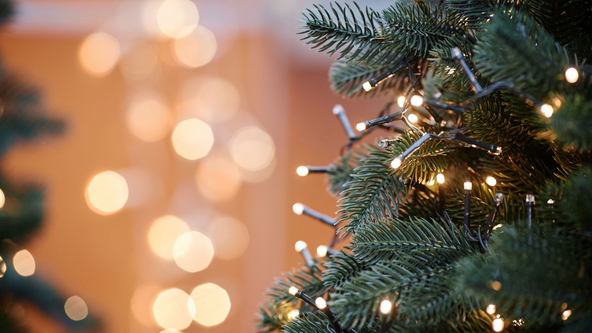 Close,Up,Background,Image,Of,Christmas,Tree,Decorated,With,Lights