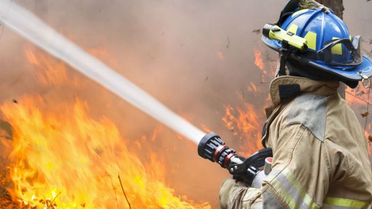 Három tűzesethez siettek a tűzoltók hétfőn Bács-Kiskunban