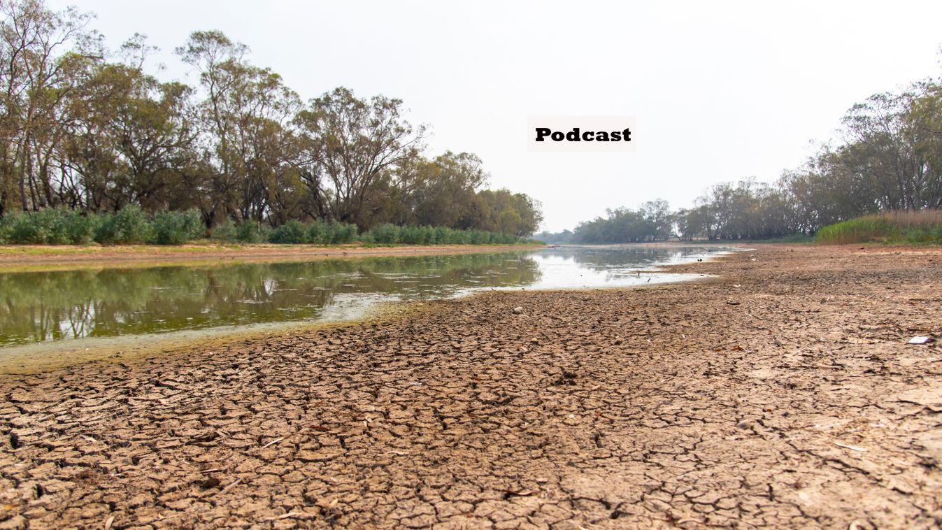 A Homokhátság vízpótlására kerestek megoldást a kecskeméti konferencián – podcast