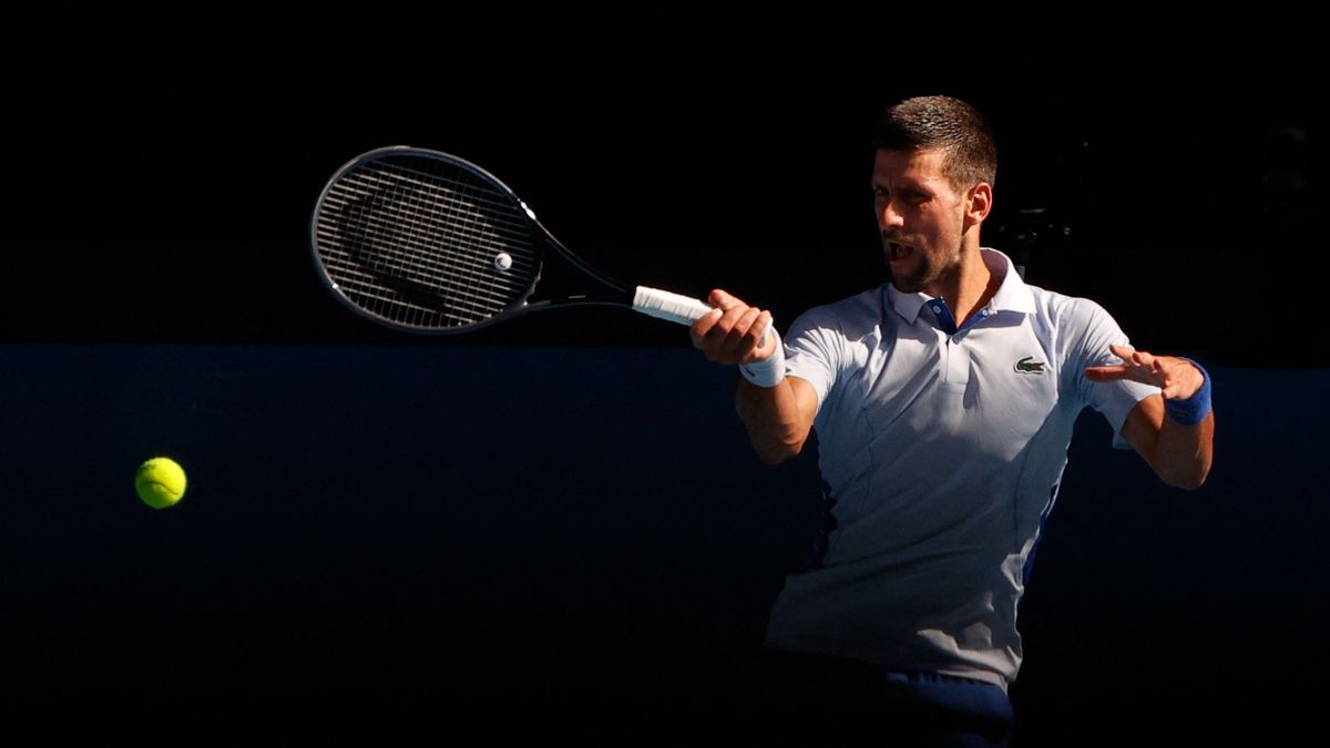 Djokovics a fa tetejére küldte a tenisz fenegyerekét (videó)