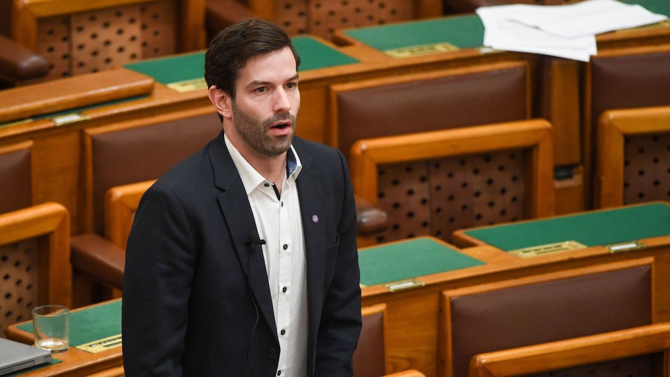 Felfüggesztett börtönbüntetésre ítélte a bíróság Fekete-Győr Andrást