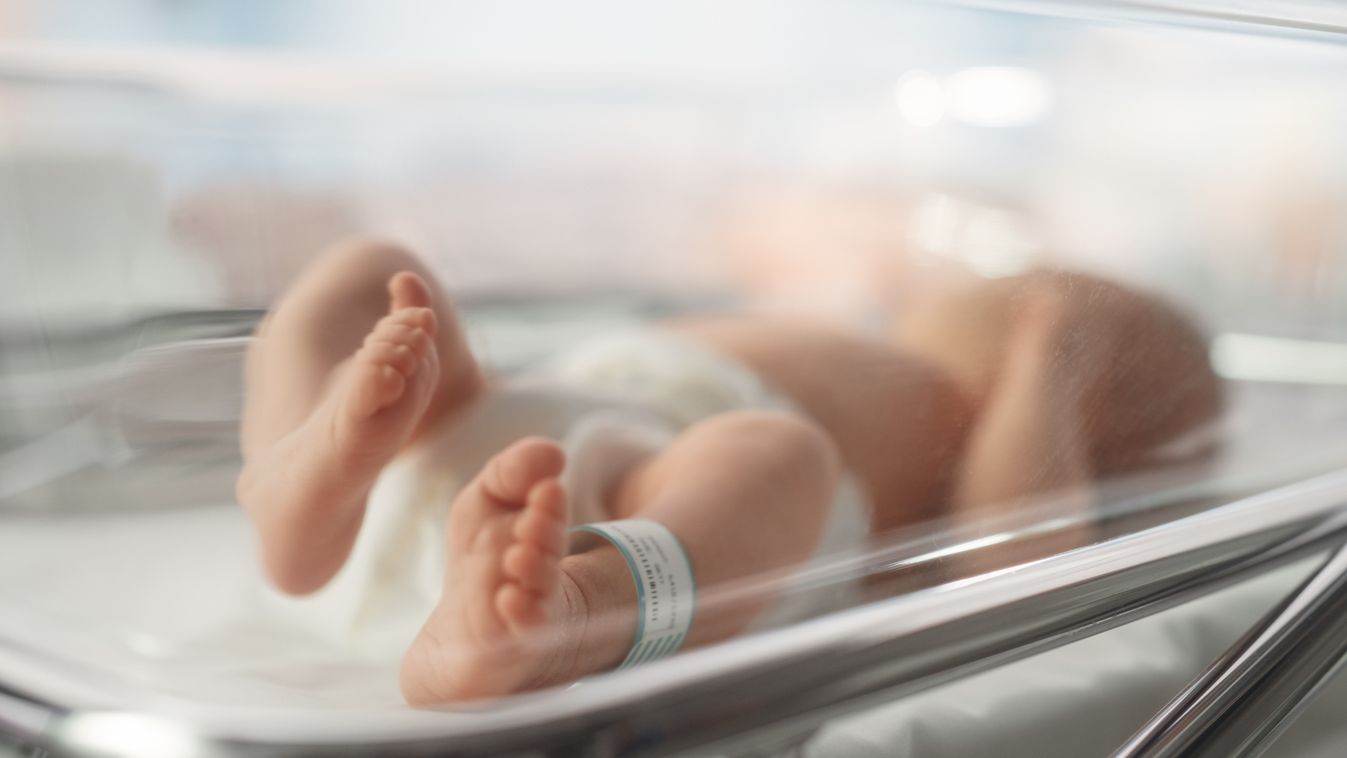 A jövő héten tartják a termékenységtudatosság hetét