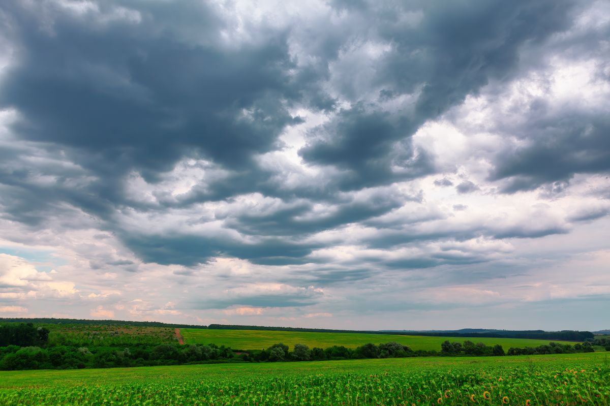 Cloudy,Sky,Over,The,Field,With,Sunflowers,.,Low,Clouds