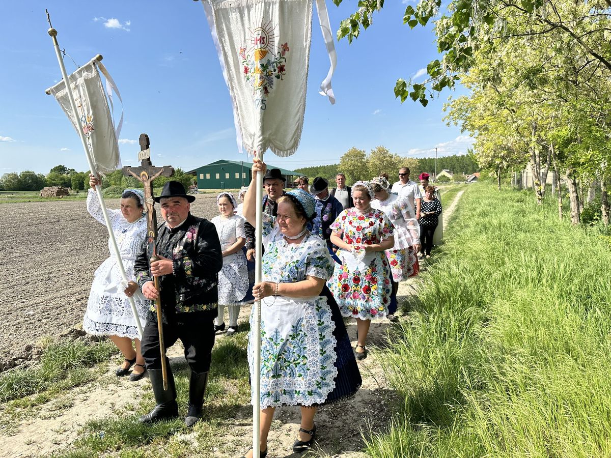 búzaszentelés, kalocsa, Negyenszállás