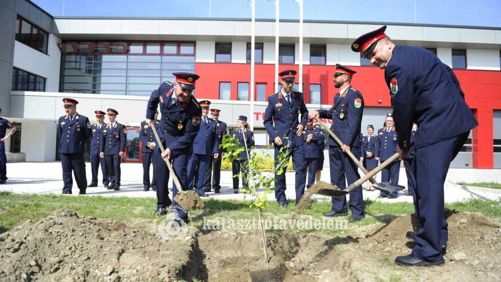 faültetés, tűzoltólaktanya, Kecskemét