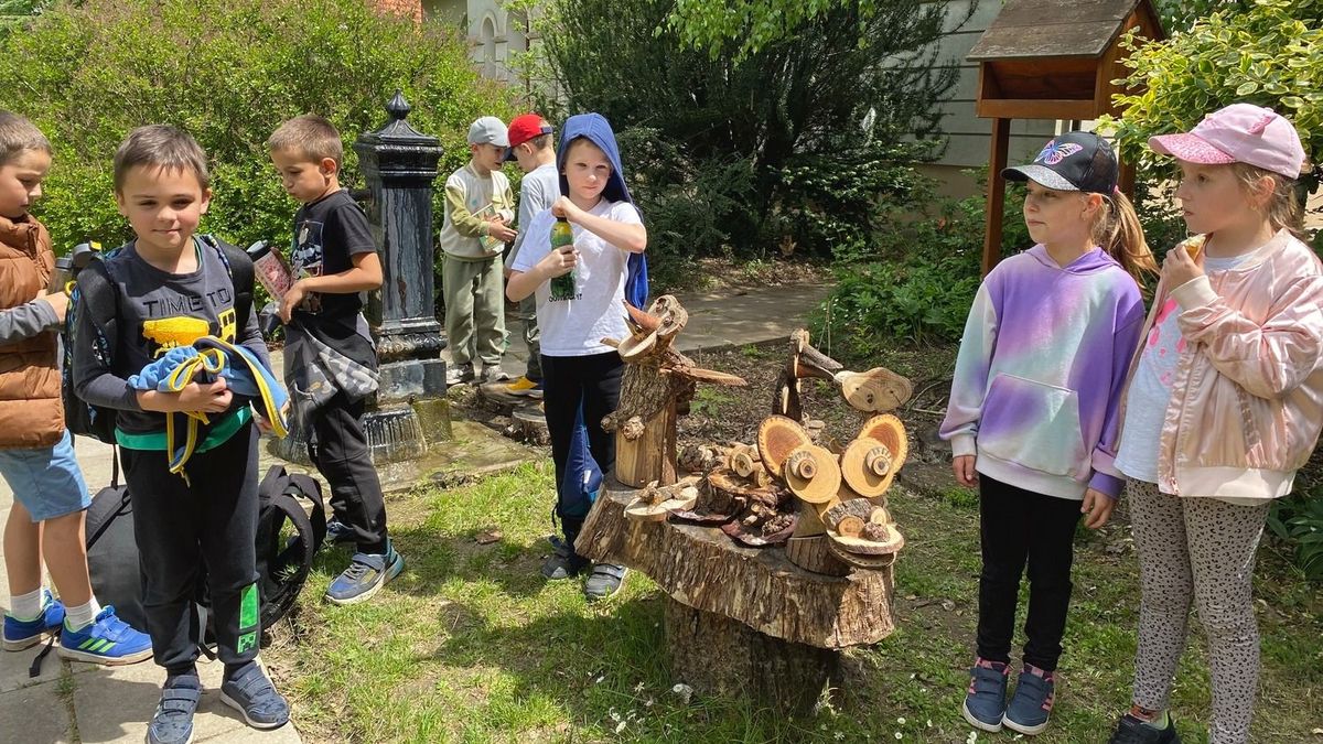 Kecskeméti Arborétum, madarak és fák napja, Vásárhelyi Pál Általános Iskola