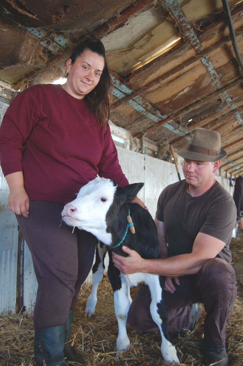 segítségnyújtás, szociális farm, házaspár