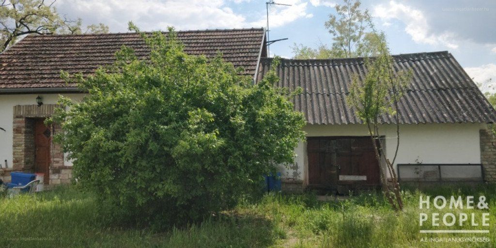 ingatlanajánló, ingatlan, Zsana