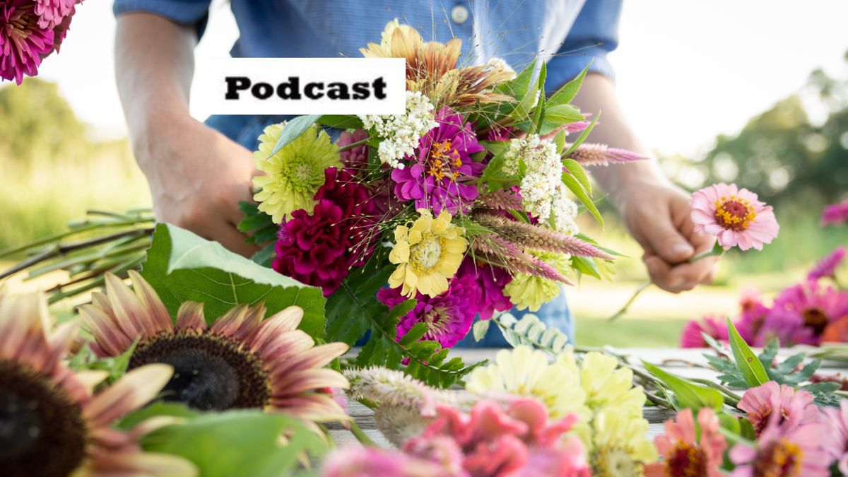 Kecskemét, baon podcast, virág