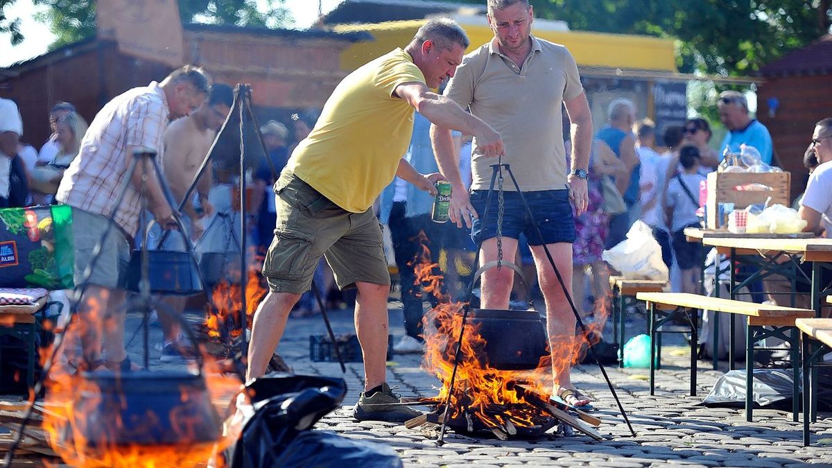 Bajai Halfőző Fesztivál