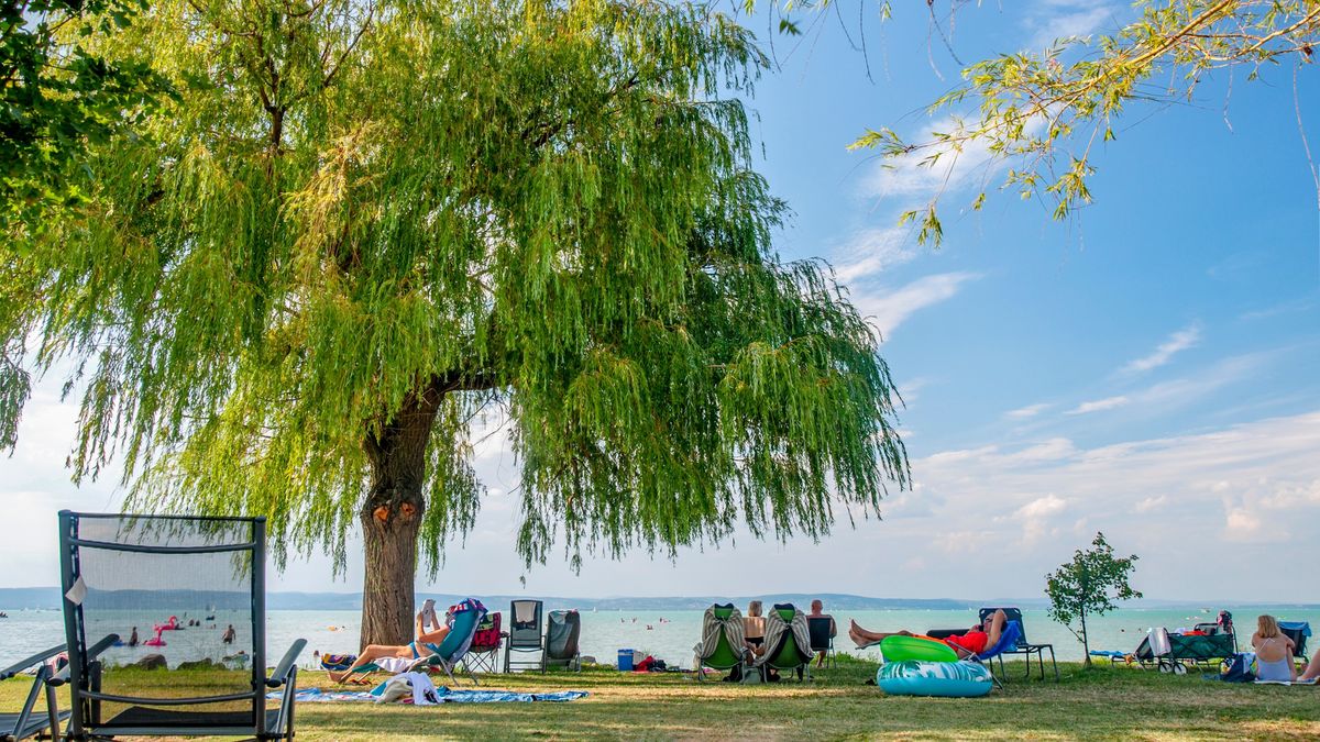 strand, tolvaj, Jó reggel!