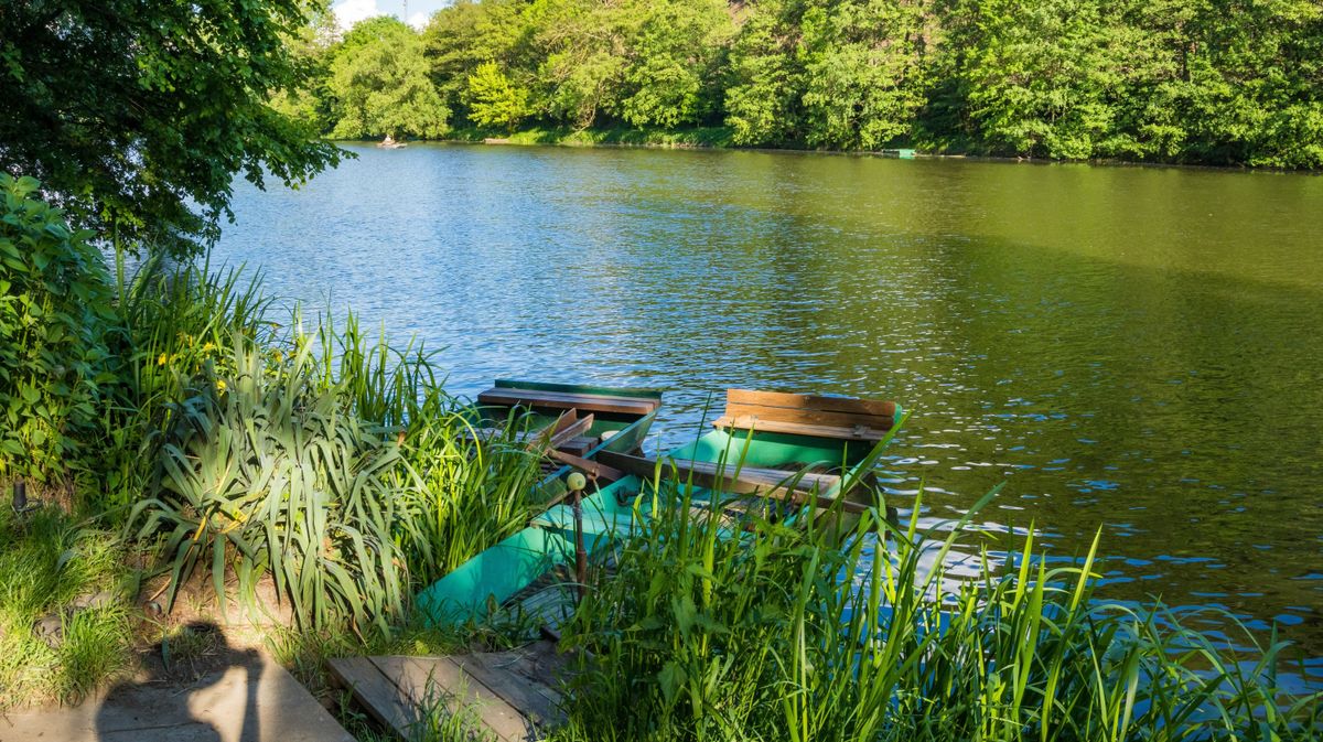 Duna, Tisza, vízállás