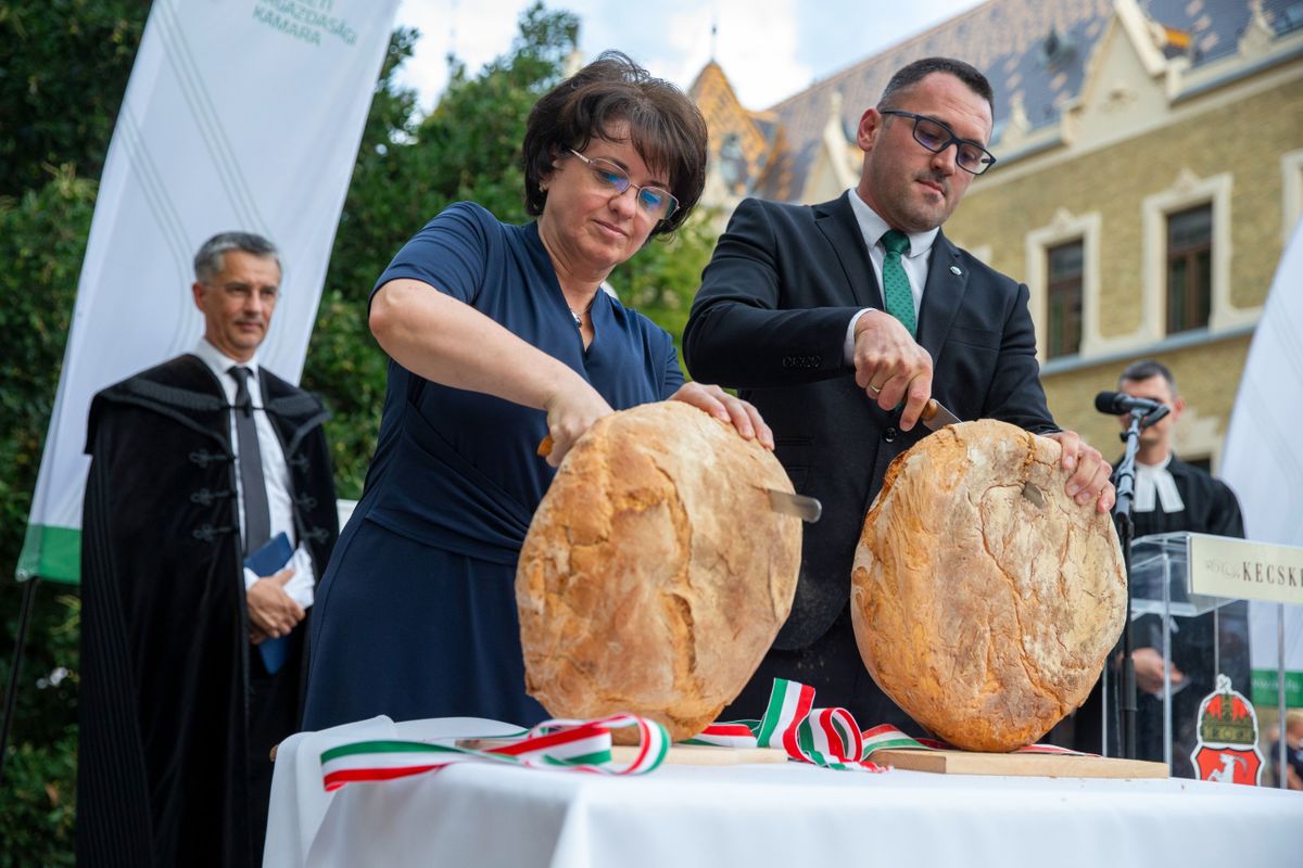 Magyarok Kenyere, új kenyér, Szabó Ildikó és Göbölyös Károly