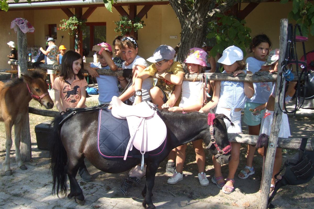 vakációs napok, Safari Park, Ágasegyháza, 