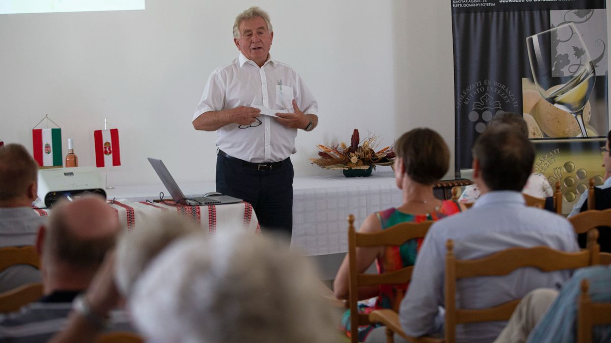 konferencia, szőlészet-borászat, gazdaság