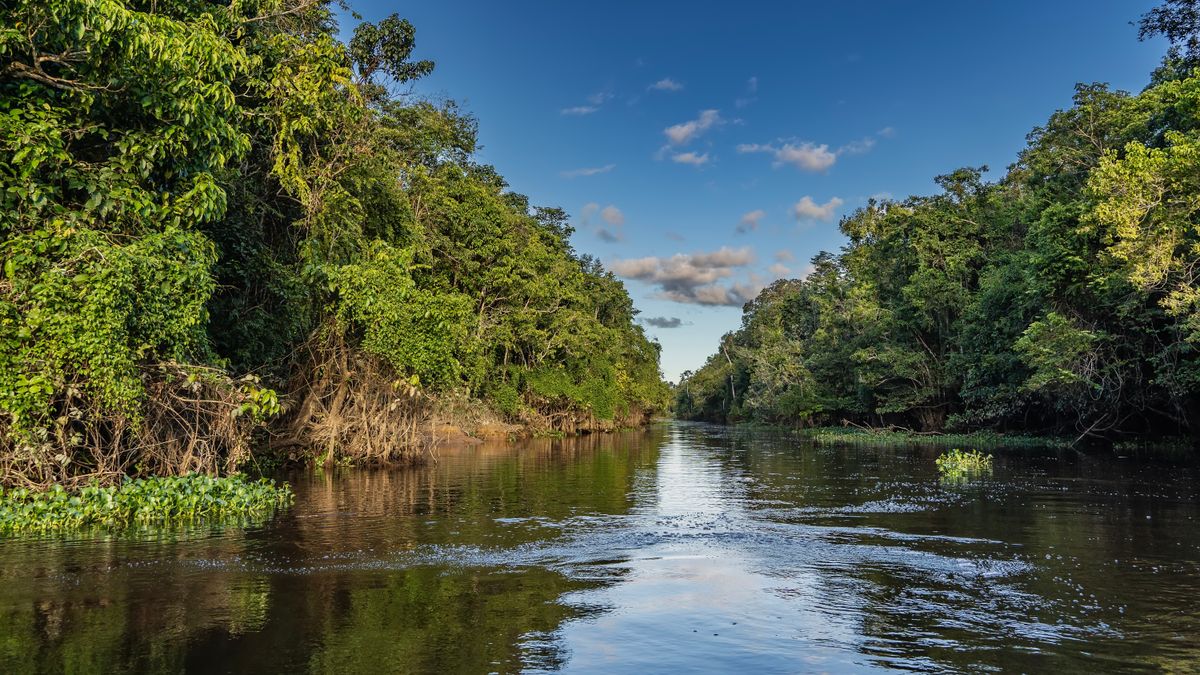 Duna, Tisza, vízállás