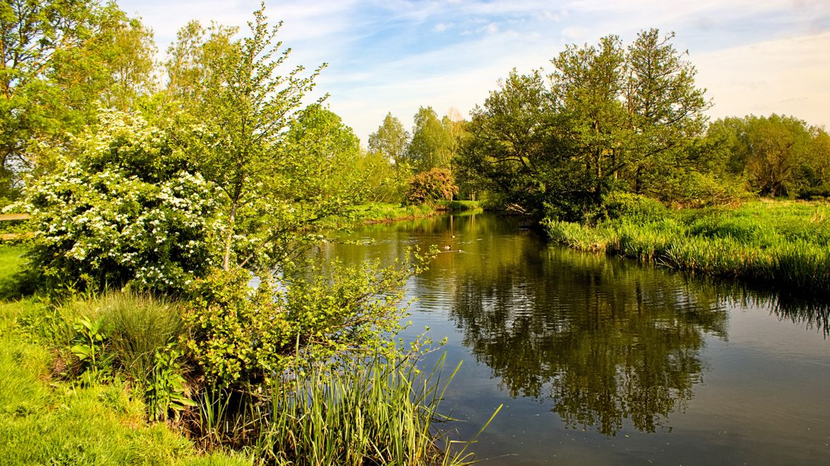 Duna, Tisza, vízállás