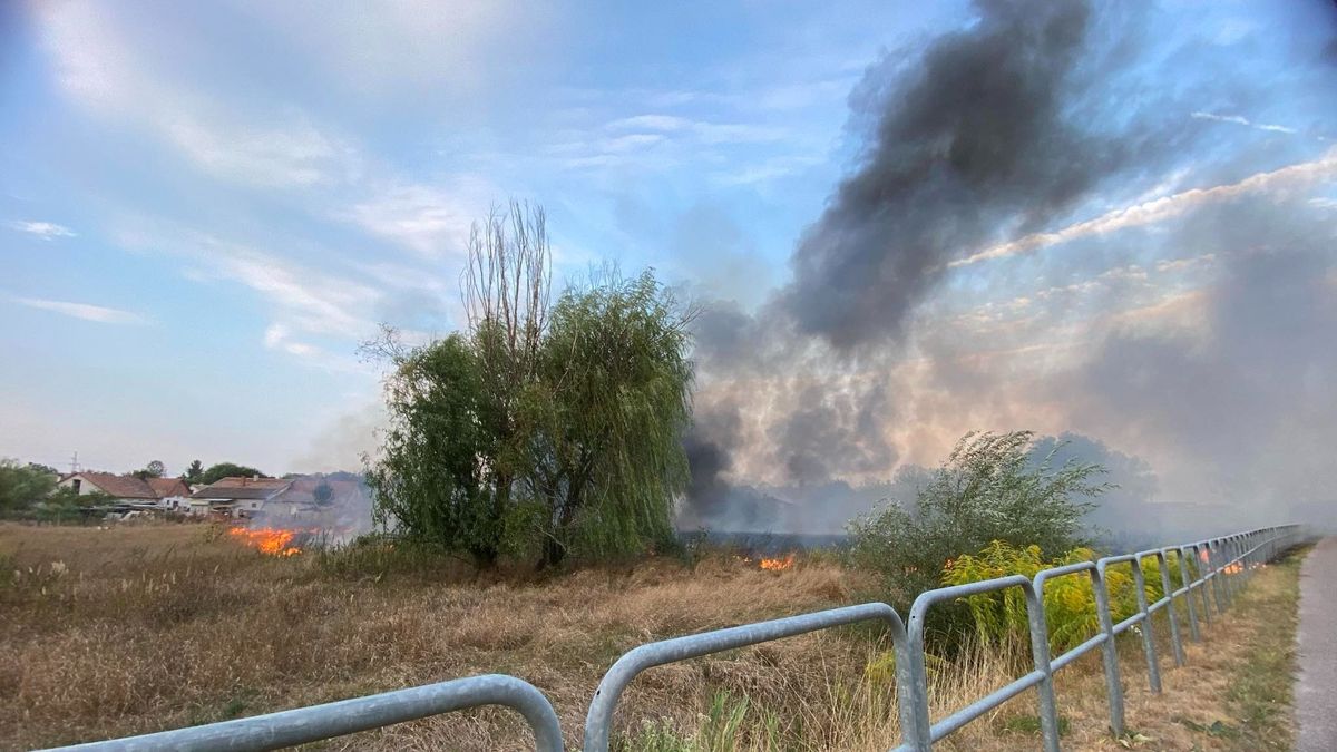 tűzeset, hulladéklerakó, katasztrófavédelem