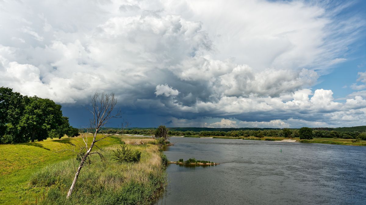 vízállás, Bács-Kiskun, Tisza, Duna, 