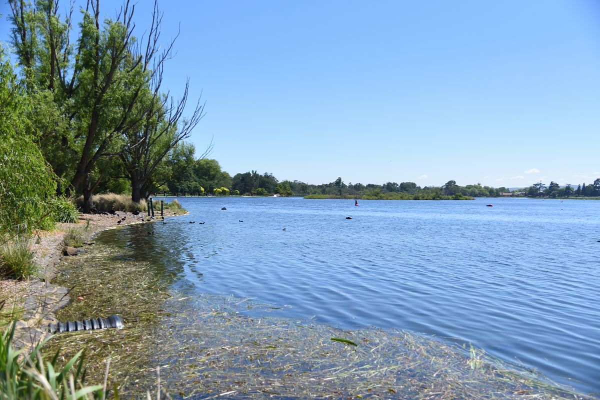 Duna, Tisza, vízállás