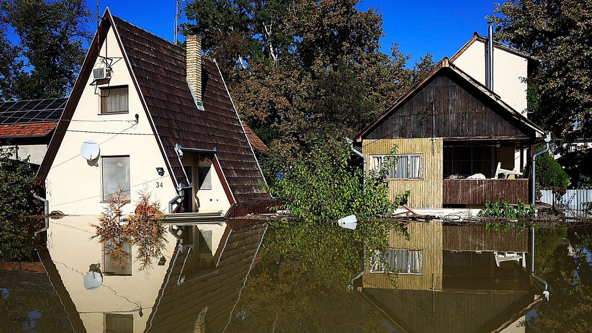 hírek, Bács-Kiskun, összefoglaló