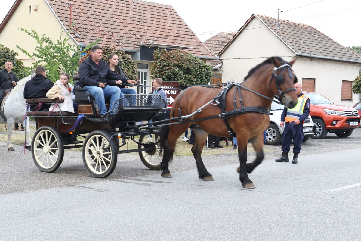 jubileumi falunap, felvonulás, Páhi