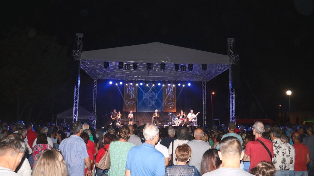 pataji ősz, Bikini koncert, pacalfőző verseny