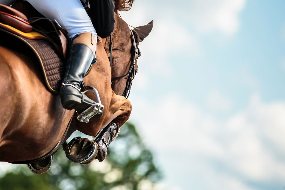 Horse,Jumping,,Equestrian,Sports,,Show,Jumping,Themed,Photo.