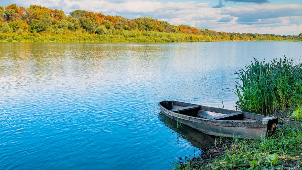 Duna, Tisza, vízállás