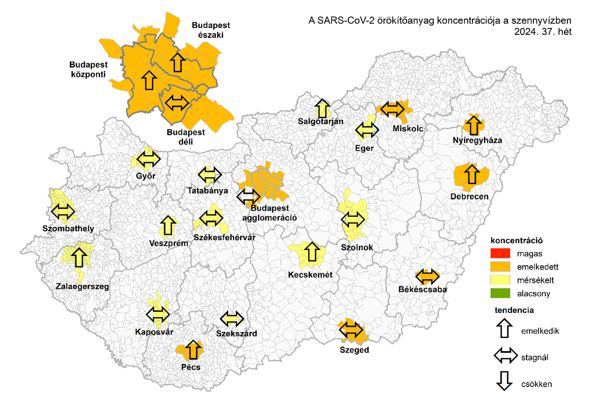 szennyvíz, koronavírus, Sars-Cov-2