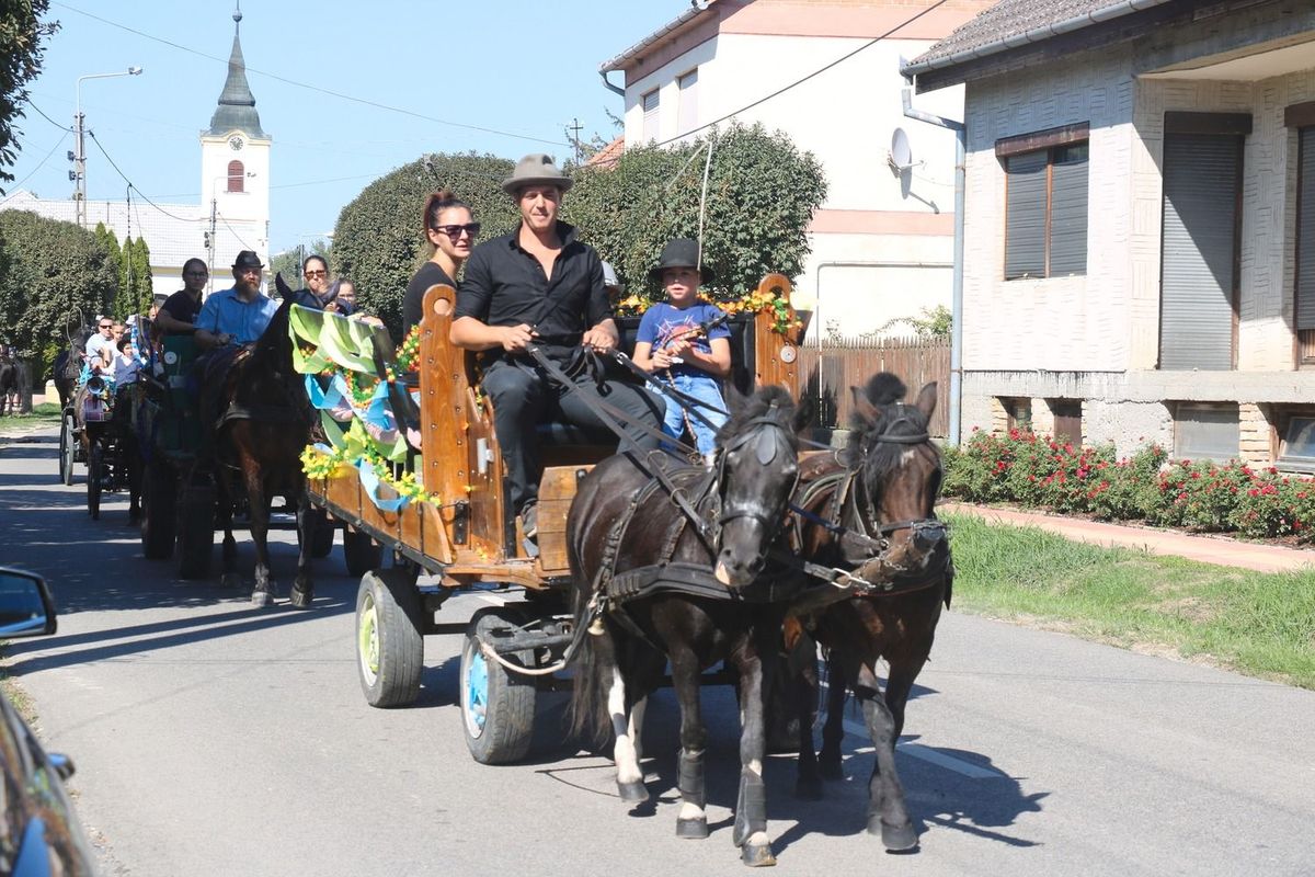 szüreti felvonulás, Dunaszentbenedek