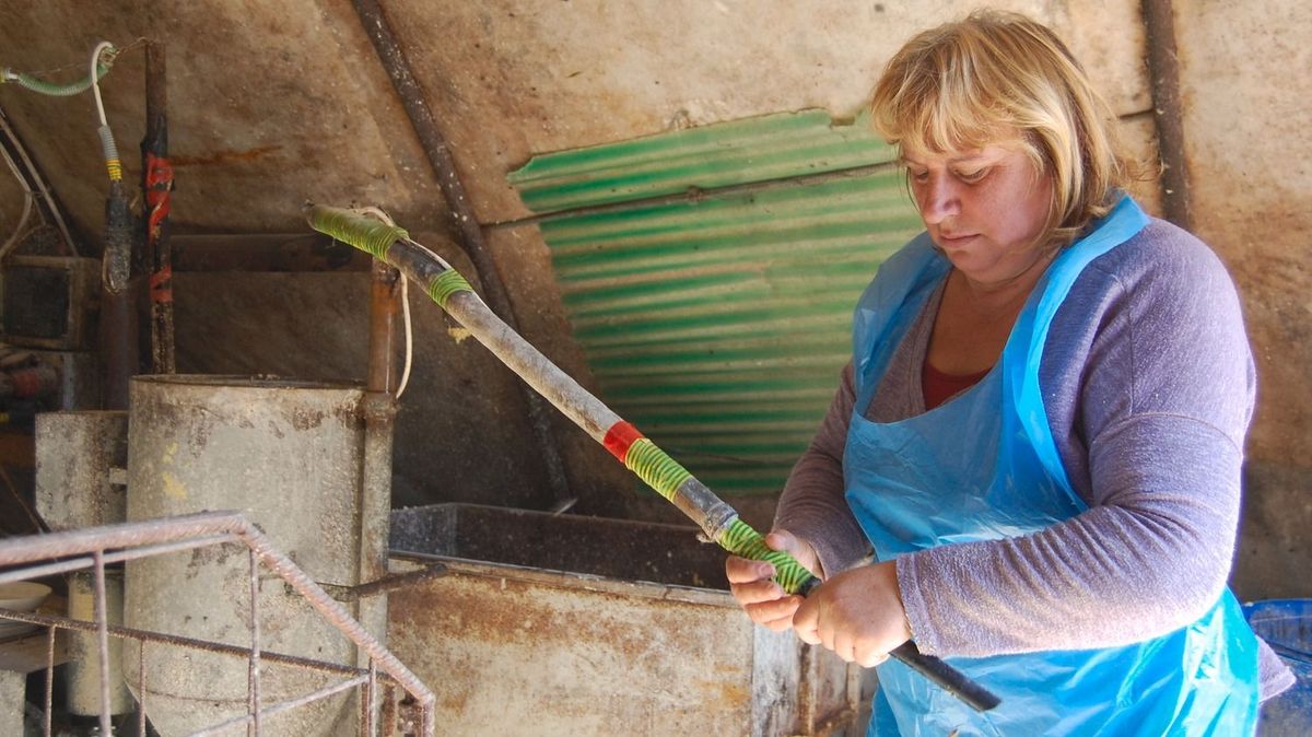 libatömők, Márton nap, libafesztivál, Túri Brigitta