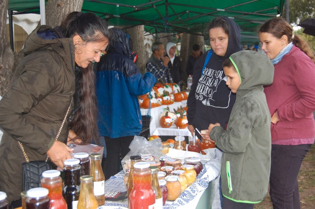 Mezgé Piknik, program, Kskunfélegyháza