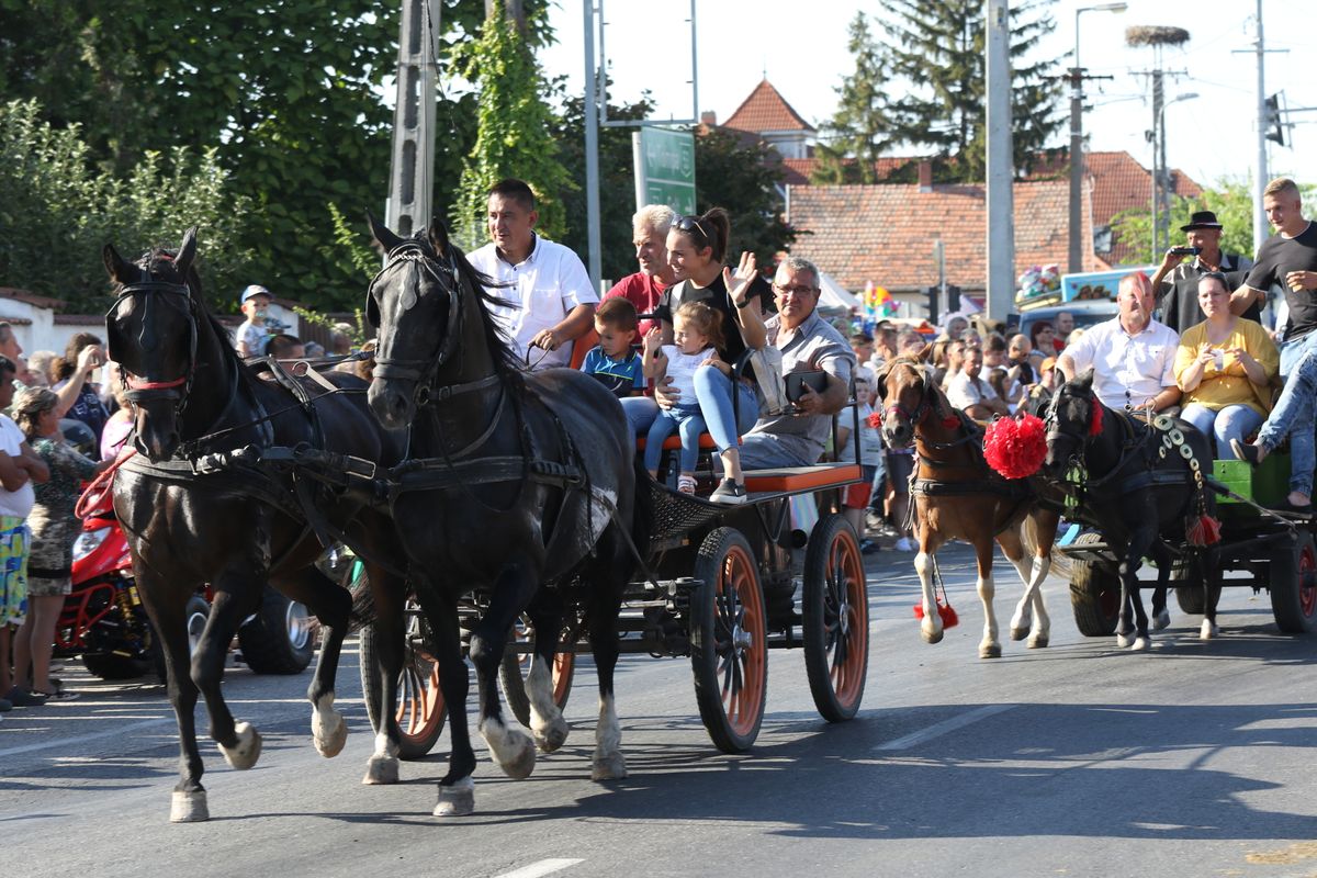 szüreti felvonulás, Akasztó, búcsú