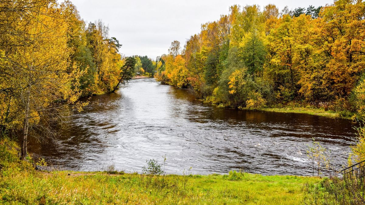 Duna, Tisza, folyó, vízszint