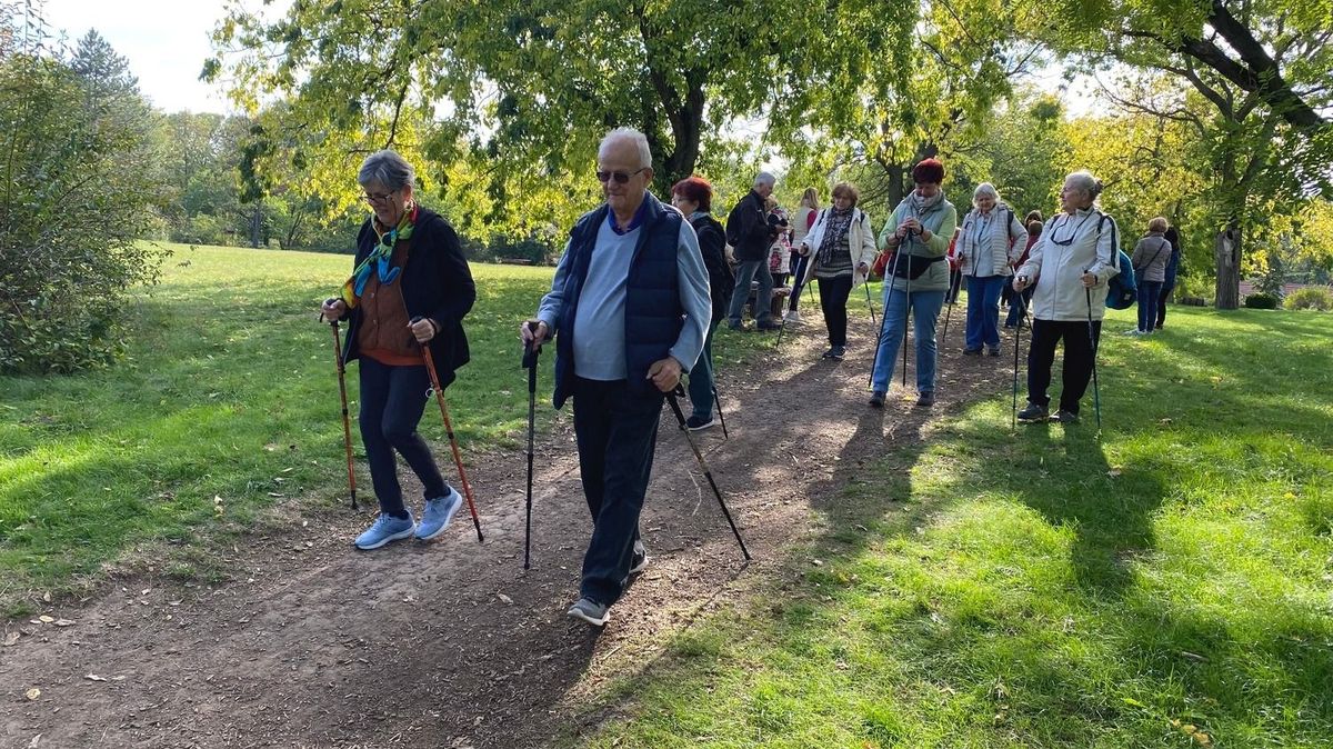 Kecskeméti Arborétum, nyitvatartás, Kefag ZRT.