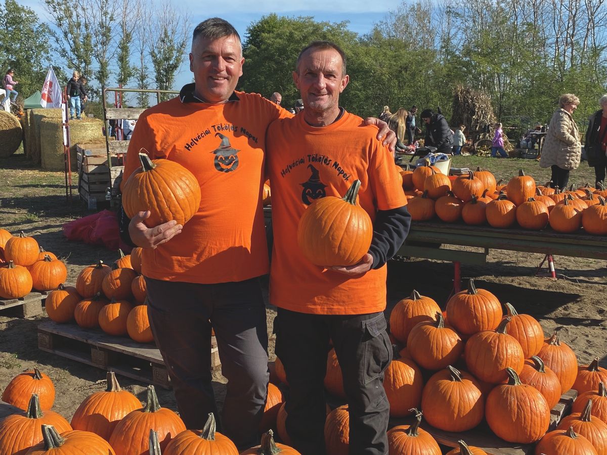 halloweeni tök, Papp Zoltán, Börönde Ferenc, Bács-Kiskun