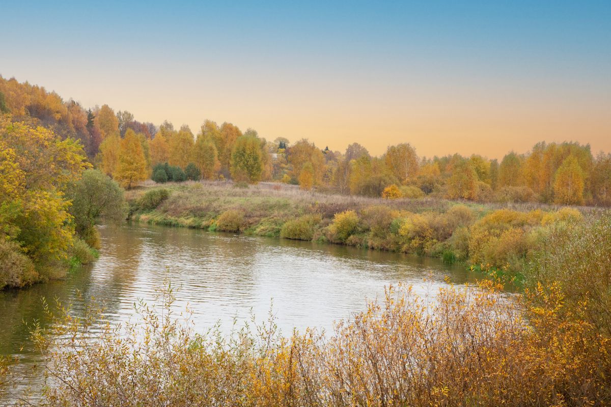 Autumn,Forest,On,The,River,Bank.,Forest,River,In,Autumn.